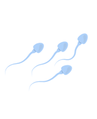 Vyšetření spermiogramu u partnera